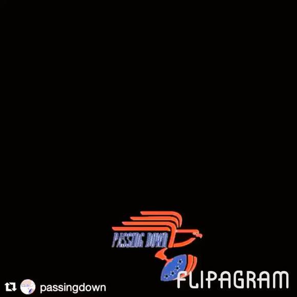 Meet your Posher, Tykee - Picture 1 of 1